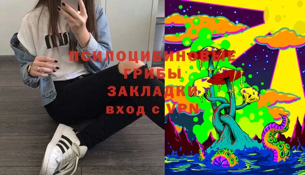 мяу мяу мука Покачи