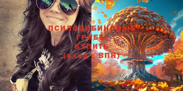 мяу мяу мука Покачи