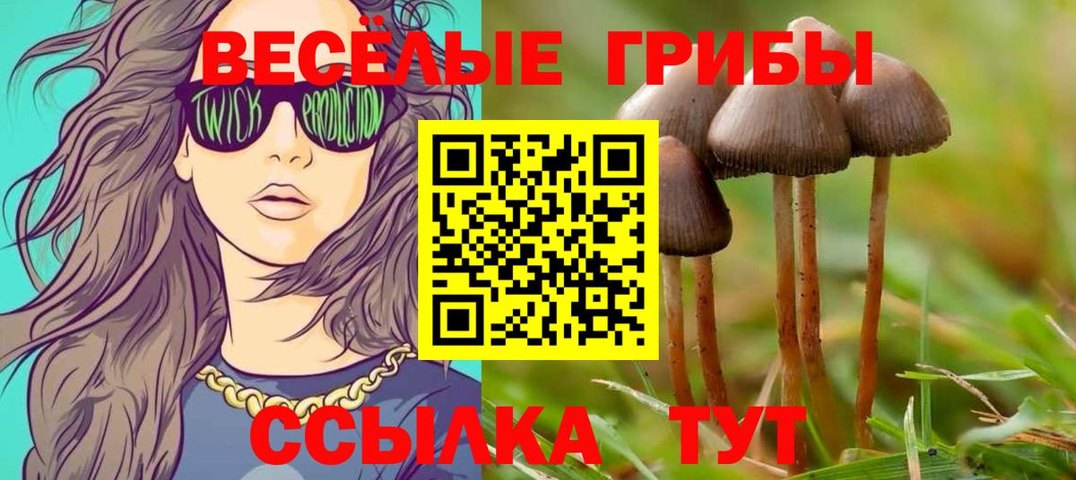 Псилоцибиновые грибы Psilocybine cubensis  Вход с VPN  Галлюциногенные грибы мицелий  Родники 